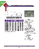 PCSFW630-R56M Datasheet HTML 1Page - Allied Components International 