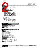 M8PA-E44-R Datasheet HTML 2Page - M-System Co.,Ltd. 