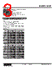 W2XT-3Z1V2-R Datasheet HTML 3Page - M-System Co.,Ltd. 