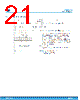 STMIPID02/TR Datasheet HTML 21Page - STMicroelectronics 