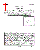 TMP86PM47AUG Datasheet HTML 1Page - Toshiba Semiconductor 