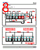 DMRG-SJS-RQ Datasheet HTML 8Page - DOMINANT Semiconductors 