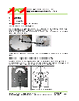 77784-R1 Datasheet HTML 11Page - VAT Group AG 