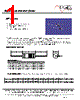 MF1302T-R22 Datasheet HTML 1Page - ECM Electronics Limited. 