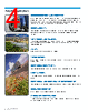 BZ-R-A2 Datasheet HTML 4Page - Honeywell Solid State Electronics Center 