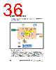 ADP1613ARMZ-R7 Datasheet HTML 36Page - Analog Devices 