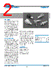 31-2-RFX Datasheet HTML 2Page - Amphenol Corporation 
