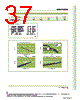 FR14/7/5 Datasheet HTML 37Page - NEC 