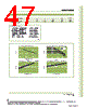 FR14/7/5 Datasheet HTML 47Page - NEC 