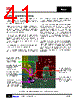 PCDC1008-R215EMO Datasheet HTML 41Page - International Rectifier 