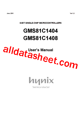 GMS81C1404 Datasheet PDF - Hynix Semiconductor
